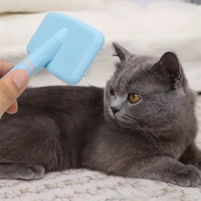 Brosse pour chien, épilateur de Massage pour animaux de compagnie, peignes pour chiens, toilettage p