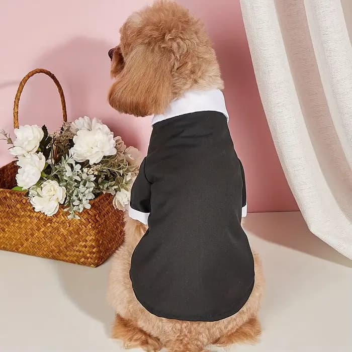 Chemise pour animaux de compagnie, vêtements pour petits chiens, Costume formel de mariage avec nœud