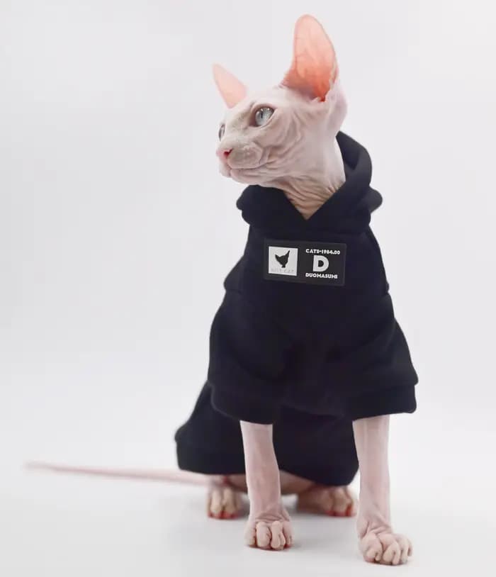 DUOMASUMI Sweat à capuche pour chat pour races sans poils – Pull tendance printemps/automne pour Sph