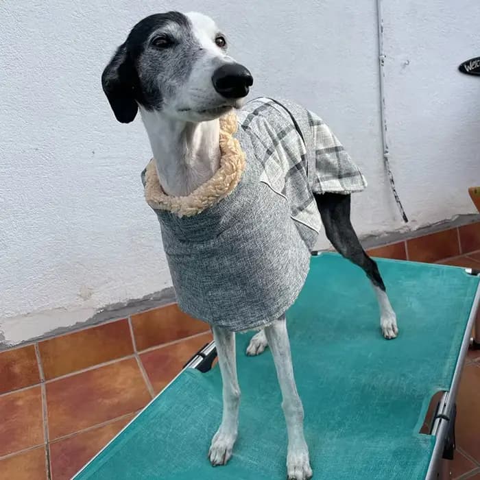 Vêtements d'hiver chauds en polaire pour grands chiens, veste pour animaux de compagnie à imprimé éc