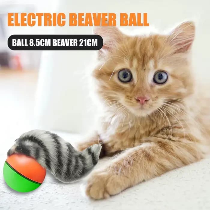 Balle roulante électrique pour animaux de compagnie, jouets de chasse interactifs pour chiens et cha