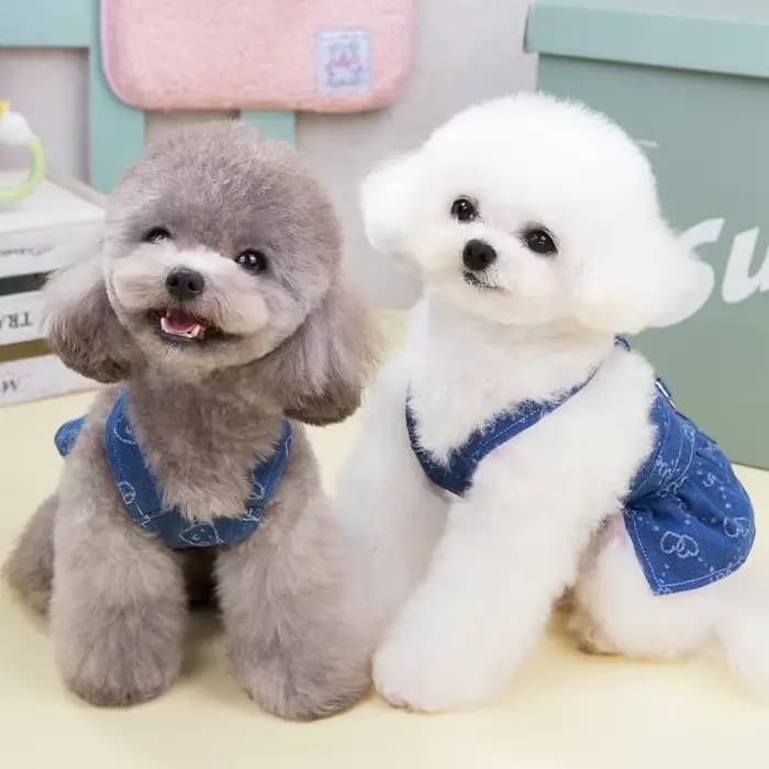 Petits chiens vêtements concepteur de luxe chiot vêtements d'été filles chat robes, amour jean harna