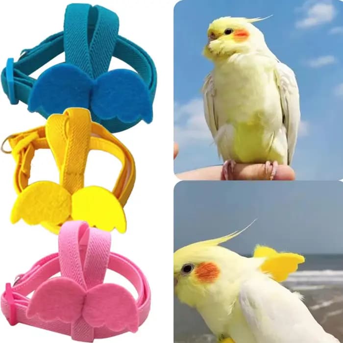Harnais pour oiseaux à câble Long, laisse Anti-morsure, corde d'entraînement décorative légère pour