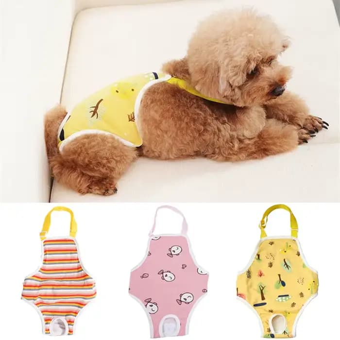 Culotte physiologique réutilisable pour animaux de compagnie, pour petits chiens, avec sangles, sous