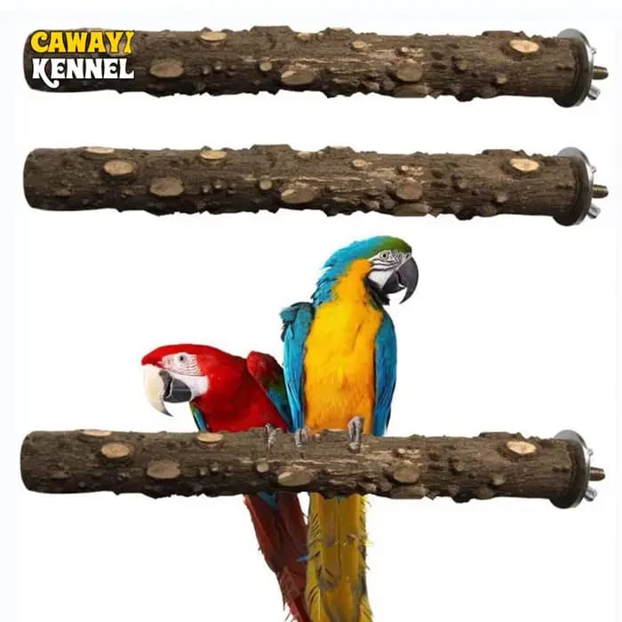 Barre de meulage de bec de griffe d'oiseau 10/15/20 cm, bâton debout, fournitures pour oiseaux, acce