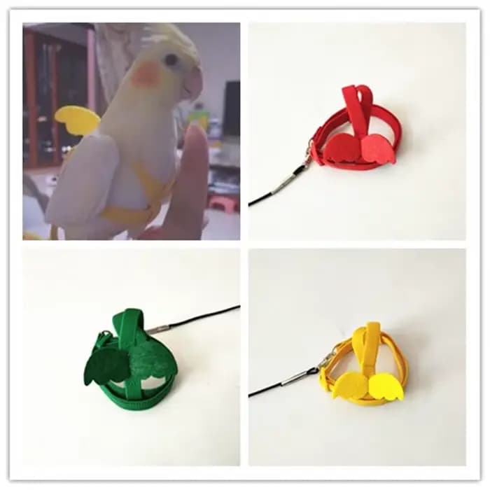 Harnais pour oiseaux à câble Long, laisse Anti-morsure, corde d'entraînement décorative légère pour