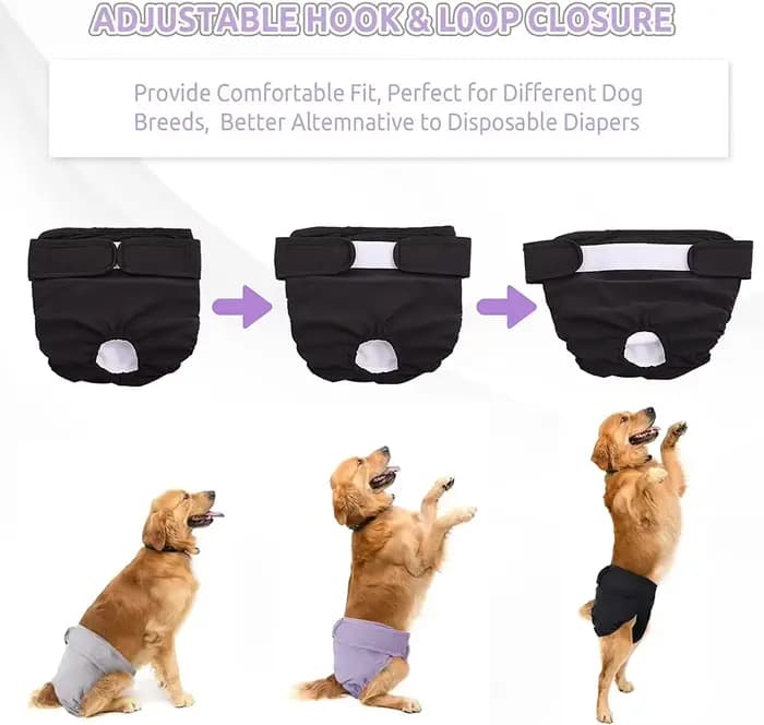 Couches réutilisables pour chiens féminins, couches à haute absorption pour chiots, culottes réglabl