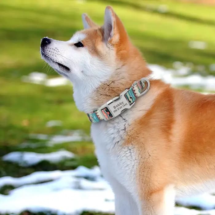 Collier personnalisé pour chien et chat, petit, moyen et grand, nom gravé personnalisé, identificati