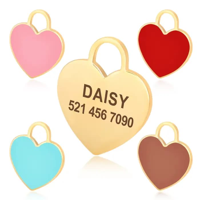 Étiquette d'identification de chien personnalisée gratuite, pendentif de plaque signalétique pour ch