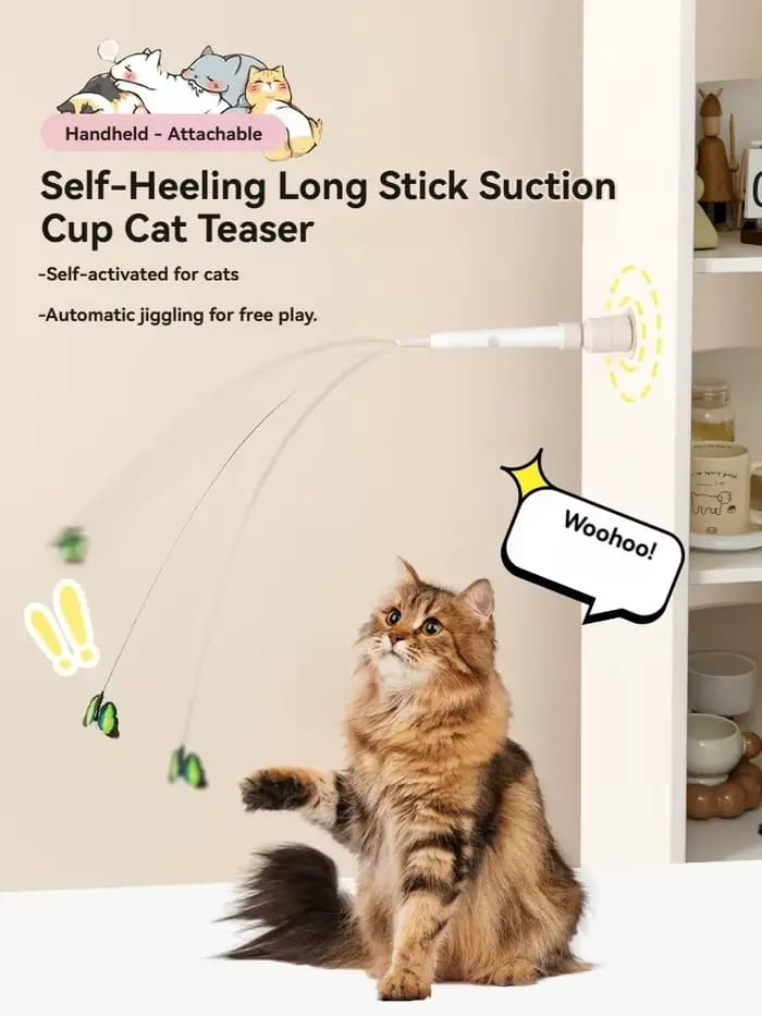 L'auto-hilarité du jouet électrique pour chat soulage l'ennui, taquin automatique pour chat, adsorba