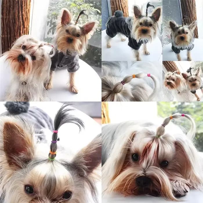 300 pièces haute élasticité poils d'animaux élastique chien chat cheveux accessoires bricolage cheve