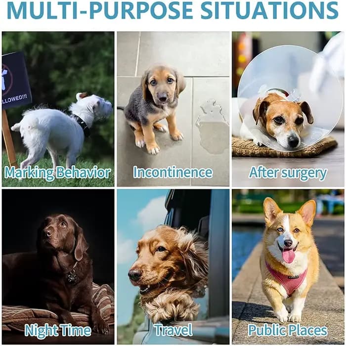 10 pièces/paquet Super Absorption pantalons physiologiques couches pour chiens pour animaux de compa