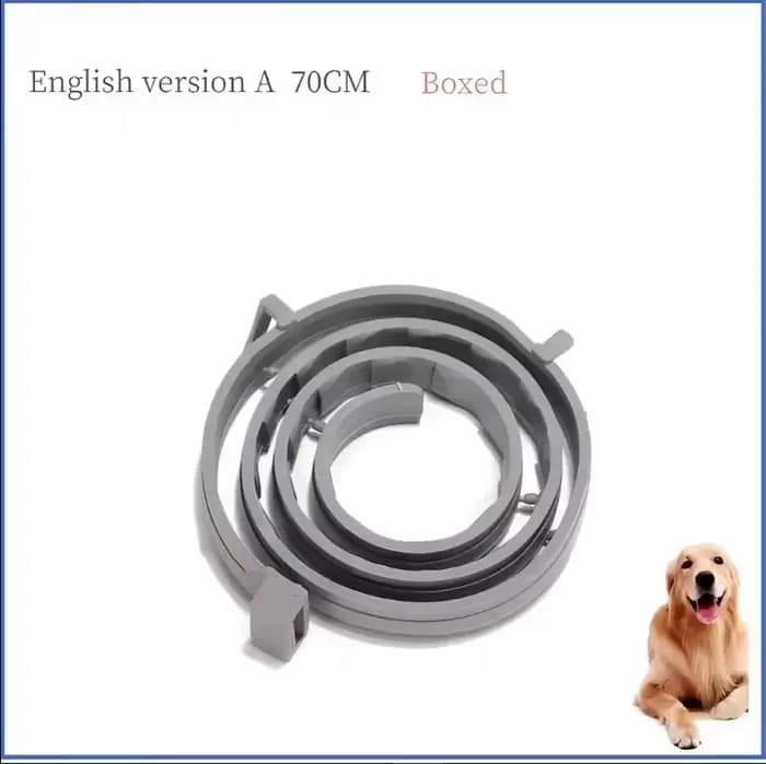 VIP livraison directe collier de chien chiot chat 70 cm 38 cm pour petits chiens chats collier acces