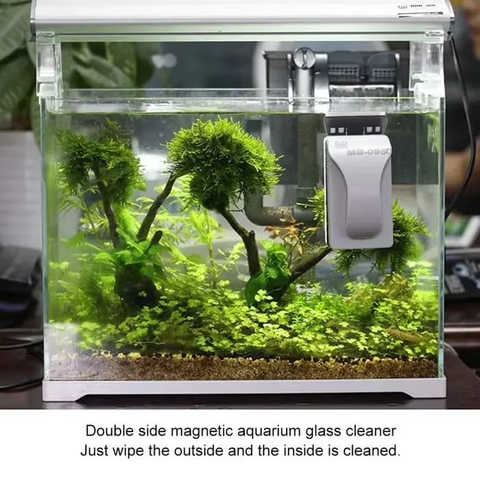 Brosse magnétique flottante pour le nettoyage des vitres d'aquarium, grattoir pour poissons, livres