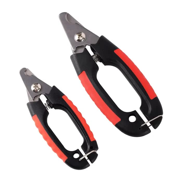 Coupe-ongles pour oiseaux en acier inoxydable, outil de toilettage pour perroquets, taille en option