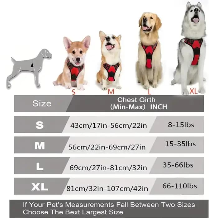Colliers pour chiens, harnais, grands gilets, laisse, boutique d'animaux, tout pour chiens, accessoi