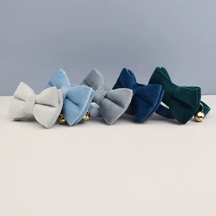 Collier pour chat mignon avec nœud papillon, collier personnalisé pour chat avec clochette, gravure,