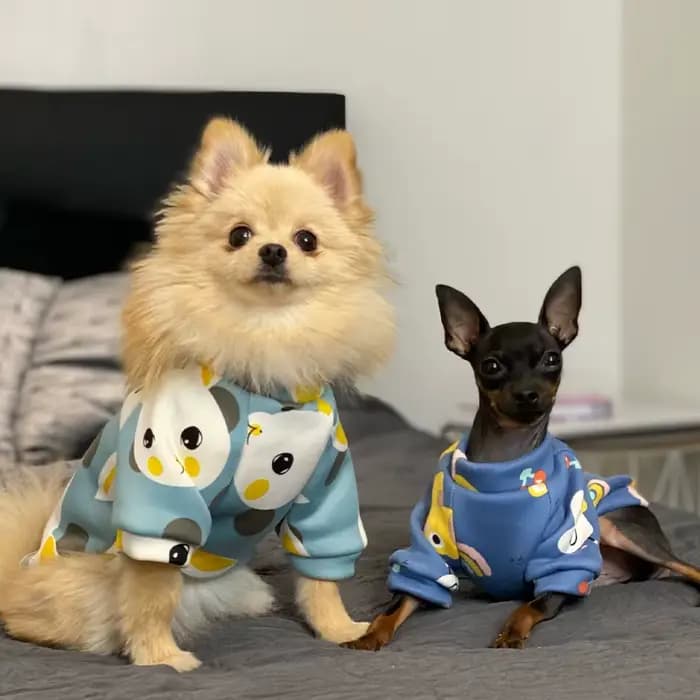 Xs vêtements pour chiens pour petits chiens fille chiot vêtements pour petits chiens garçon chat ves