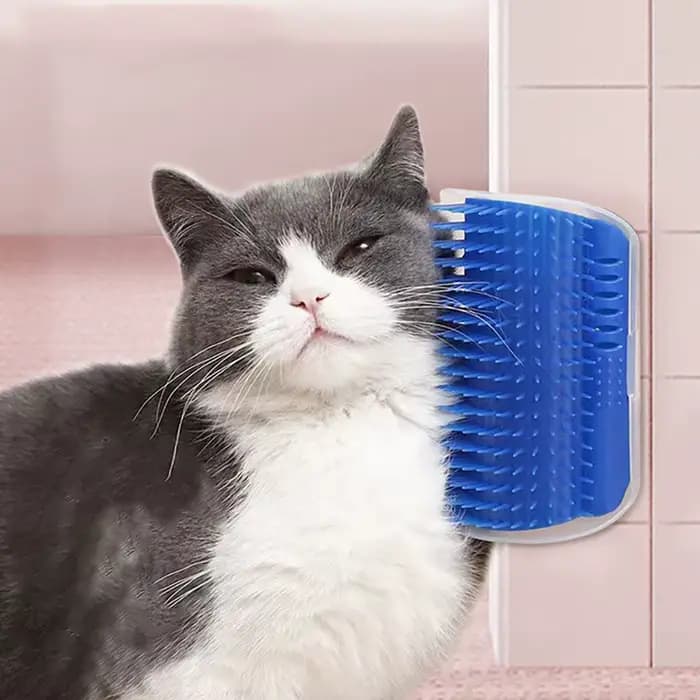 Masseur pour chats, matériau PP, articles pour animaux de compagnie, brosse pour enlever les cheveux