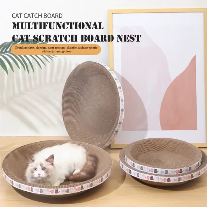 Gratte-chat ondulé grattoirs pour chat rond ovale meulage griffe jouets pour chats résistant à l'usu