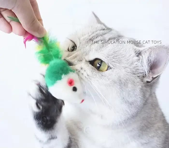 Faux souris en polaire douce pour chat, jouets amusants avec plumes colorées, jouets interactifs pou