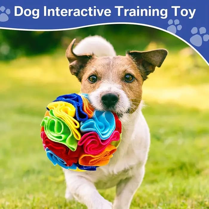 Jouets interactifs pour chiens, boule à reniflage pour chiens, encourage les compétences de recherch