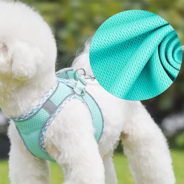 Ensemble harnais et laisse pour chien, pince de marche en plein air, pour petits et moyens chiens, C