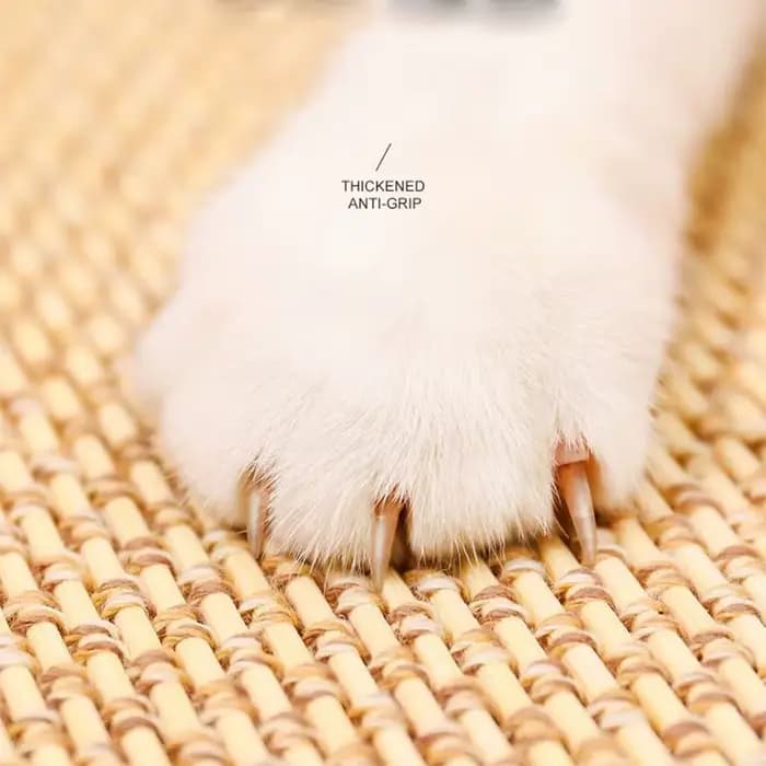 Tapis mural en bambou solide pour chat, Protection du canapé, planche à gratter pour chat, pattes de