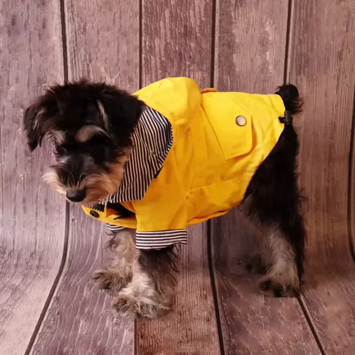 Grand chien vêtements imperméable chien imperméable veste coupe-vent pour animaux de compagnie Labra