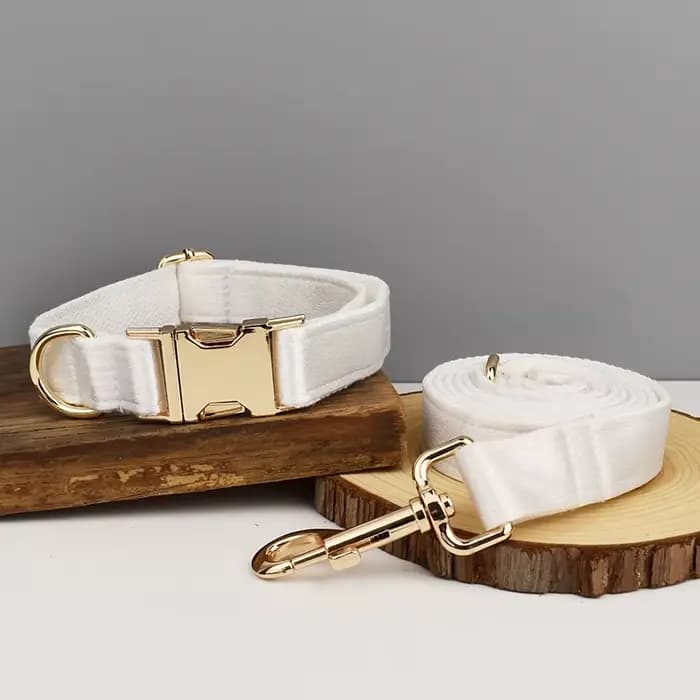 Collier, laisse et harnais pour chien en polyester imprimé par sublimation avec logo personnalisé, d