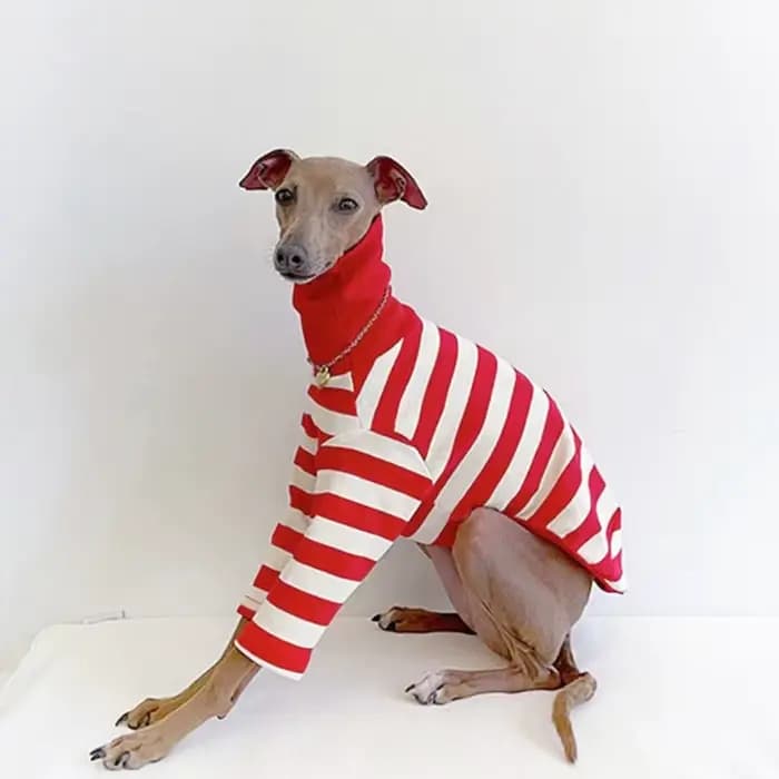 Vêtements décontractés à rayures rouges pour animaux de compagnie, lévrier italien, chemise pour chi