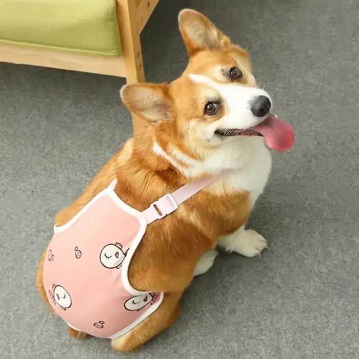 Pantalon physiologique réglable pour bouledogue français, sangle initiée par l'animal de compagnie,