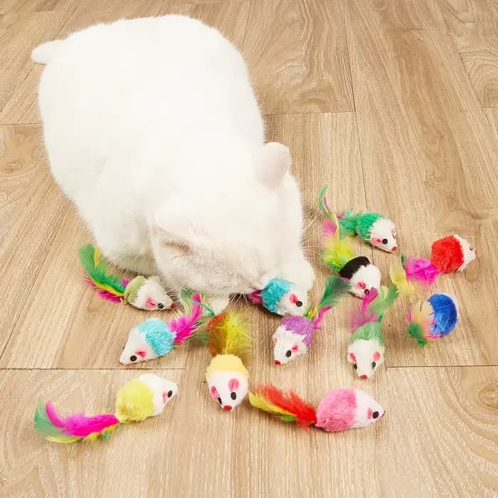 Jouets en fausse souris en polaire douce pour chat, 10 pièces, plumes colorées, jouets amusants pour