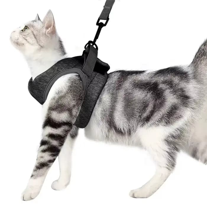 Harnais réglable pour chat avec laisse, ceinture Anti-fuite pour chaton, léger et respirant, doux, g