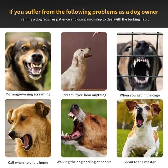 Collier Anti-aboiement automatique pour chien, colliers d'entraînement rechargeables par USB, sécuri