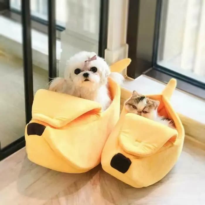 Lit en Polymère Confortable et Chaud pour Chat, mir Portable et Durable, Niche pour Chien, Fournitur