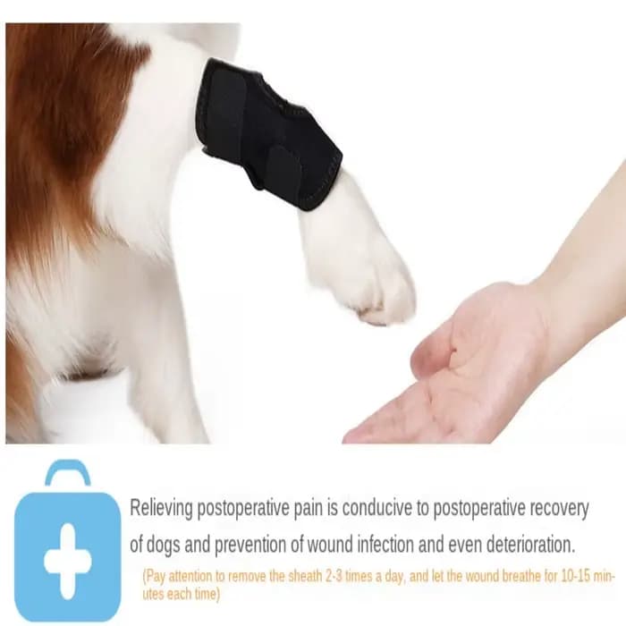 Protection de la bandage pour chien, couverture de protection contre l'arthrite, soutien des jambes
