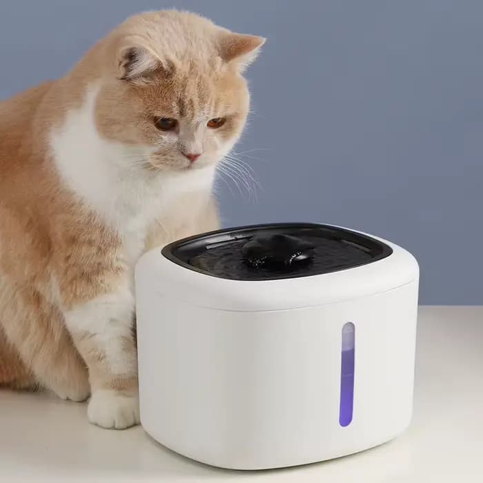 Accessoire de fontaine d'eau pour chat 10 pièces, filtres distributrices d'eau pour chien et chat
