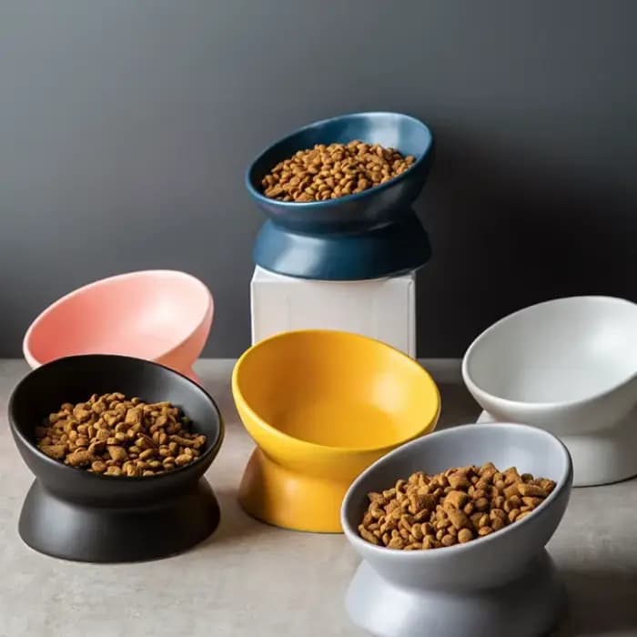 Bols surélevés pour chat petit chien 15 ° Plat d'alimentation alimentaire surélevé incliné, suppor