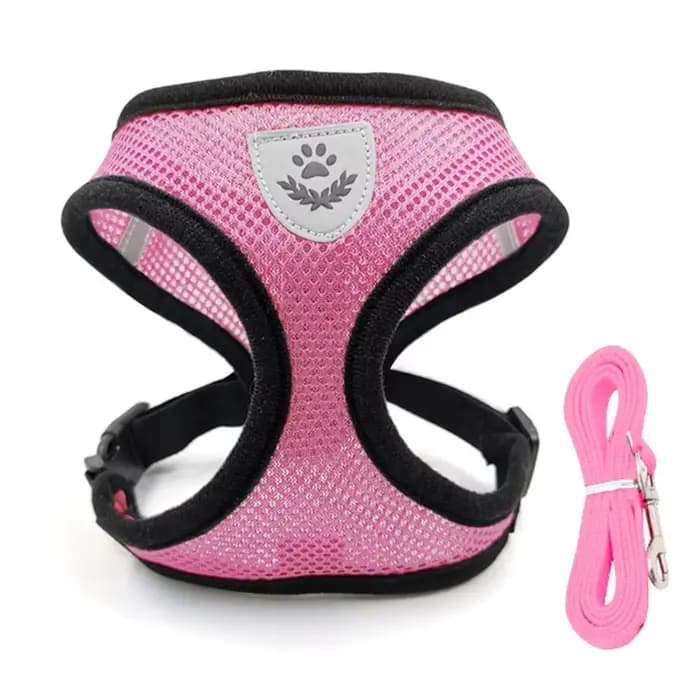 Harnais et laisse réglables de qualité supérieure pour chat, avec gilet anti-évasion pour chaton, pe