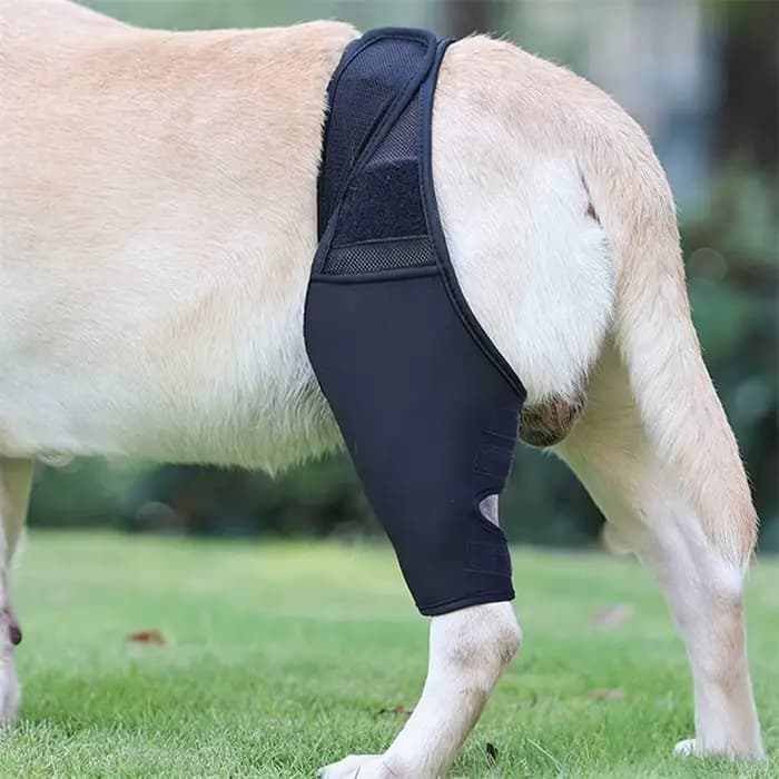 Attelle de hanche universelle pour chiens, genouillère, tissu respirant et élastique, protecteur de