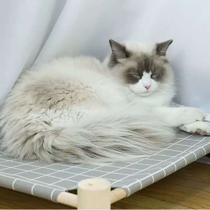 Hamac en bois pour chat et chien, lit de refroidissement surélevé, Portable et détachable, pour inté