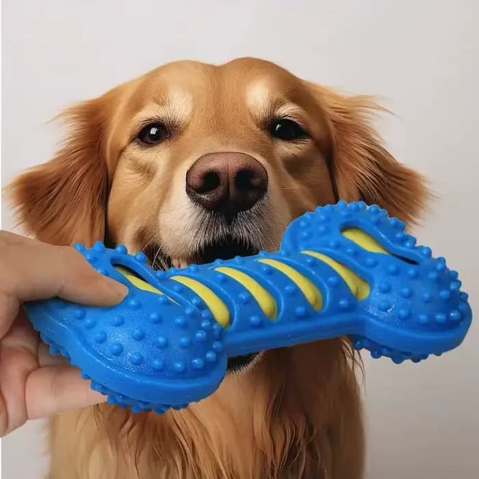 Jouets à mâcher pour chien, jouet en caoutchouc, résistant aux morsures, bâton interactif pour chiot