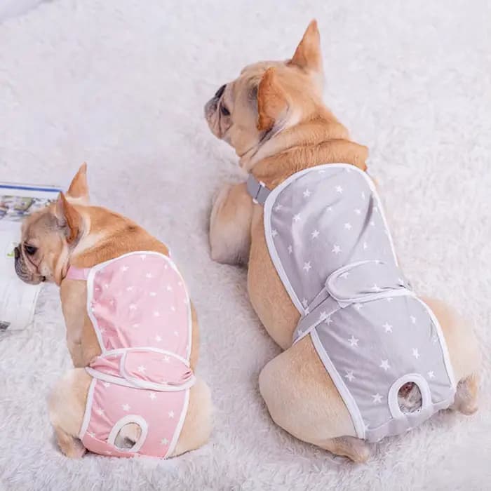 Couche-culotte en coton lavable pour animaux de compagnie, sous-vêtement pour chien femelle et chiot