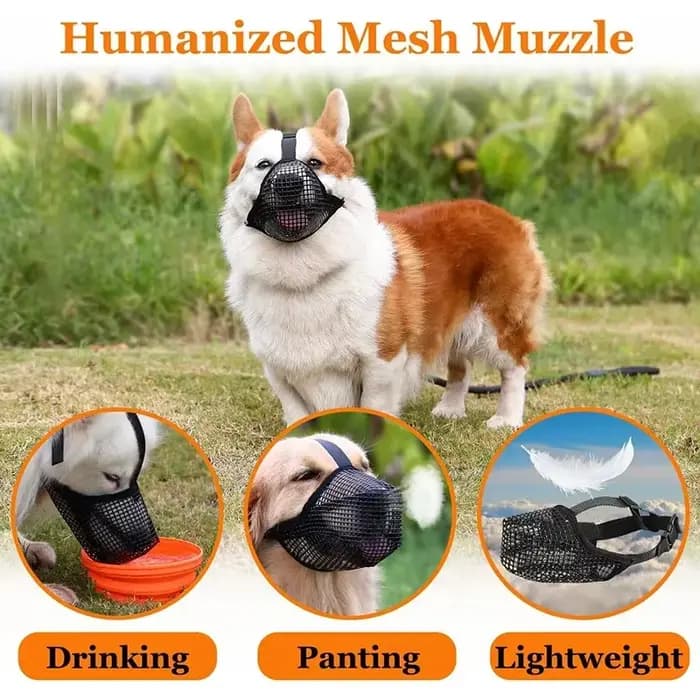 Couvre-bouche réglable et respirant pour chien, masque buccal en maille pour animaux de compagnie, m
