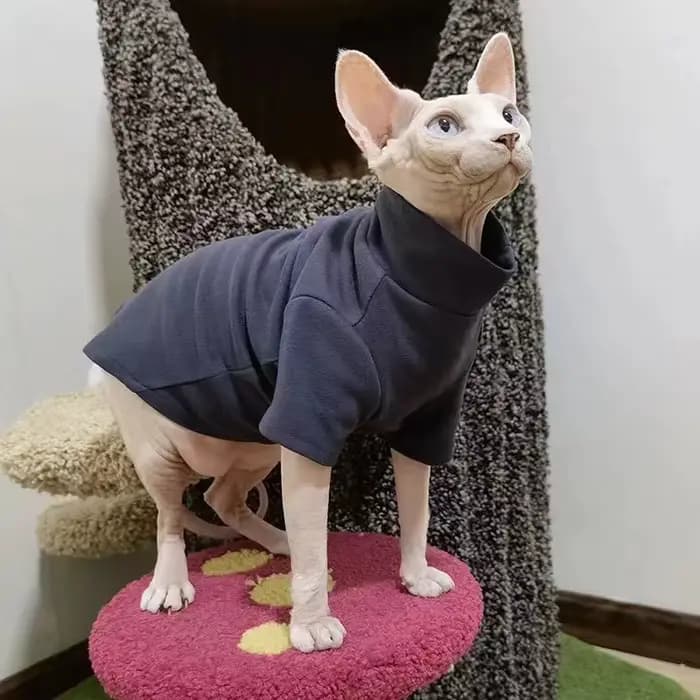 Vêtements d'hiver épais pour chat Sphynx, vêtements pour petits chiens et chats, pull doux et chaud,