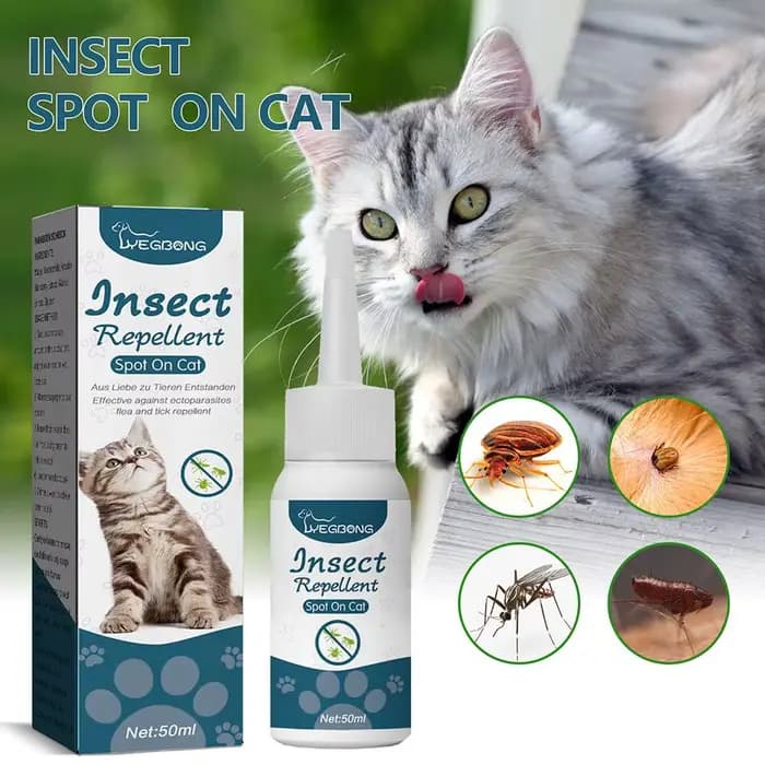 Gouttes anti-puces pour animaux de compagnie, traitement de la teigne, anti-insectes, anti-puces, an