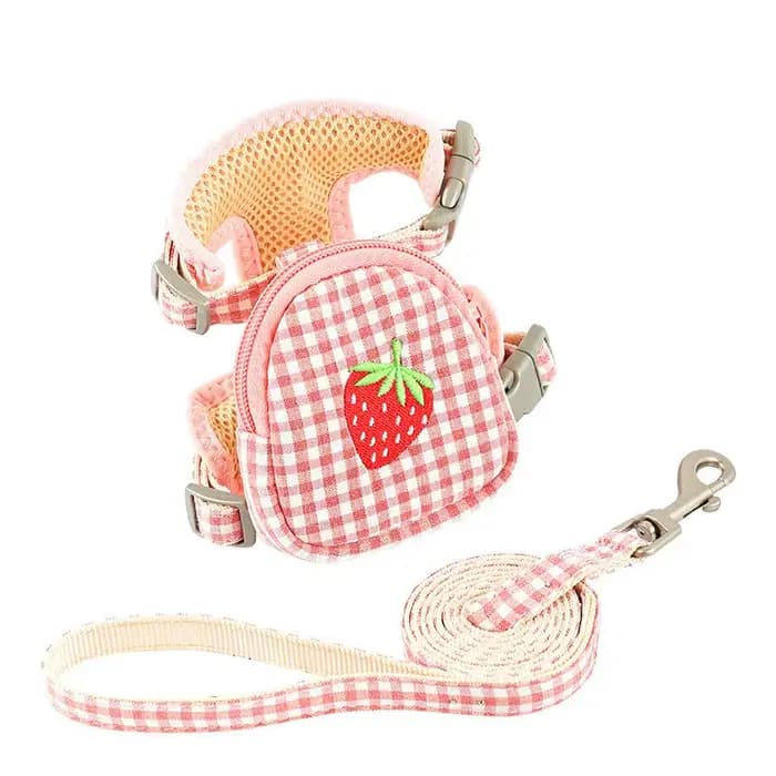 Harnais avec sac à dos pour chat, empêche la rupture, sangle de poitrine respirante, ensemble de cor