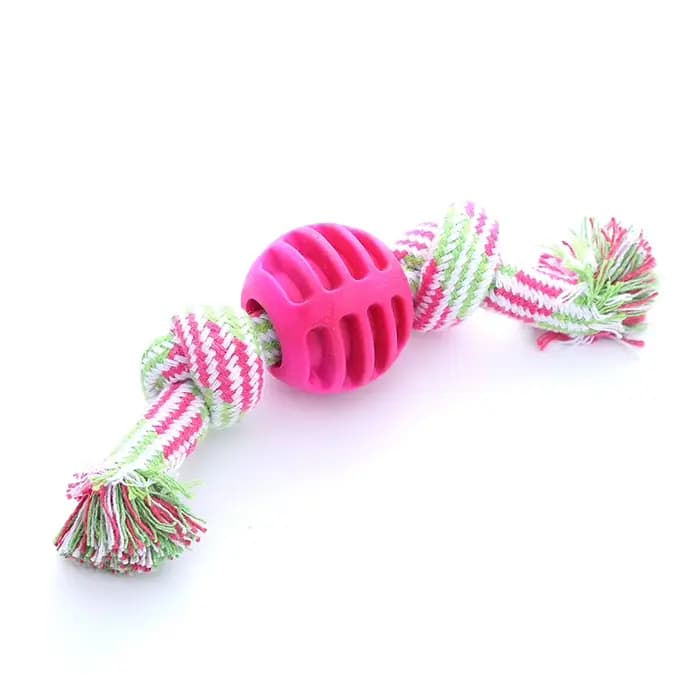 Jouet pour chien, corde en coton, boule à double nœud, résistant aux morsures, jouet de nettoyage de