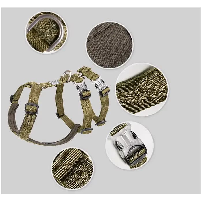 TRUELOVE-Nylon SFP Double-H personnalisé pour chien, coulé respirant et réglable, sans traction, YH1
